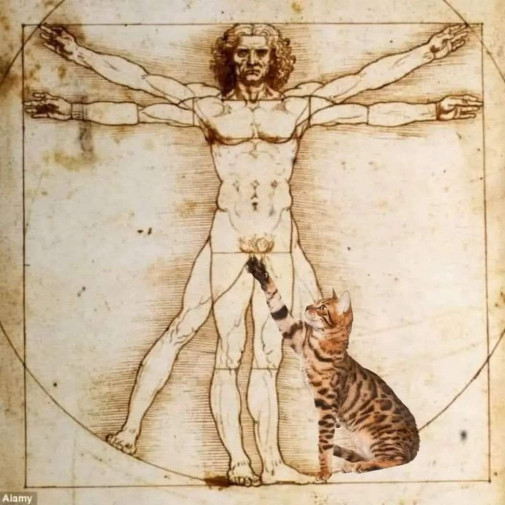 macaci arte fakt